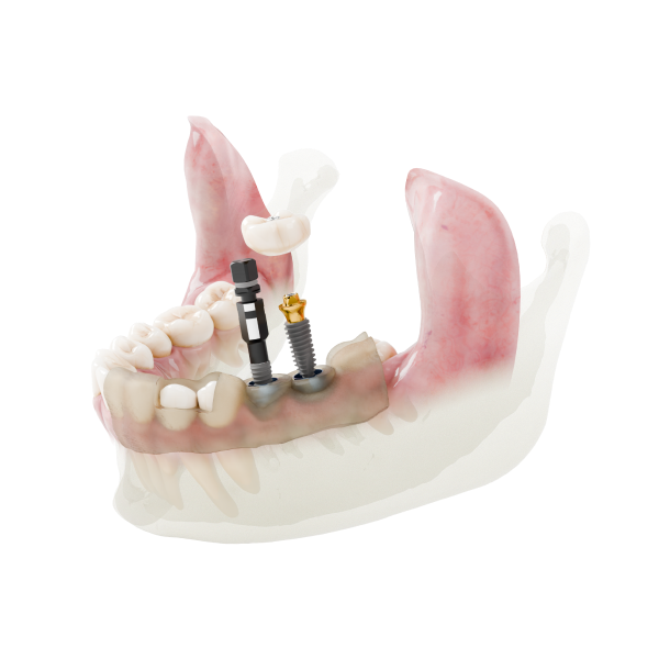 Dio Navi ürün grubu